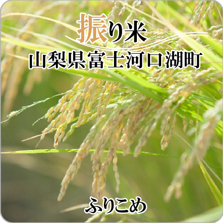 振り米　山梨県富士河口湖町