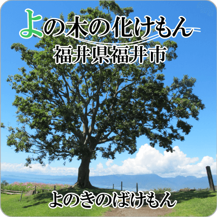 よの木の化けもん　福井県福井市