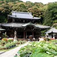 三室戸寺