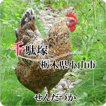 千駄塚　栃木県小山市