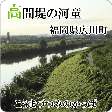 高間堤の河童　福岡県広川町