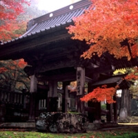 鶴布山珍蔵寺