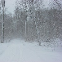 雪景色