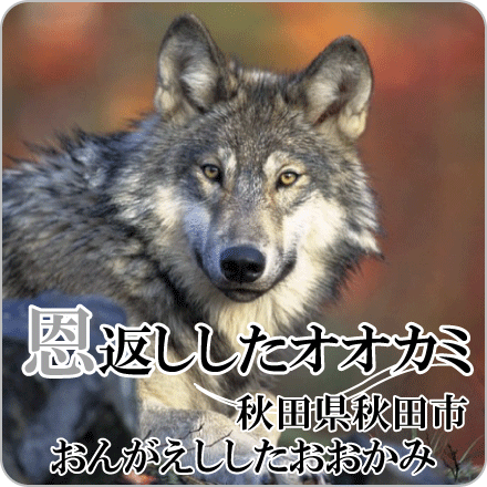 恩返ししたオオカミ　秋田県秋田市